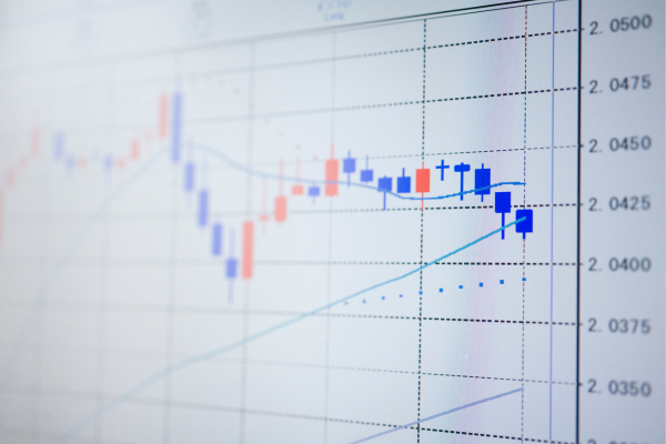 リスク管理の重要性: FX取引で賢明なポートフォリオを構築する方法